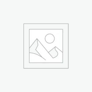 Electric Egg Boiler